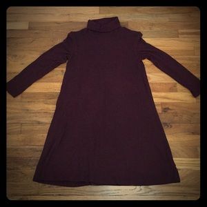 American Eagle Maroon Turtleneck Dress